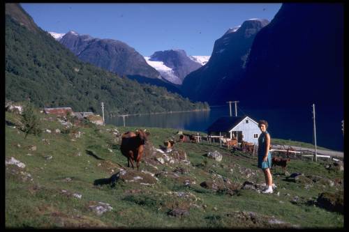 Finner ikke