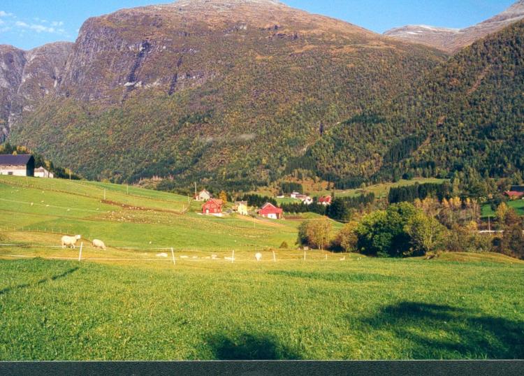 Finner ikke