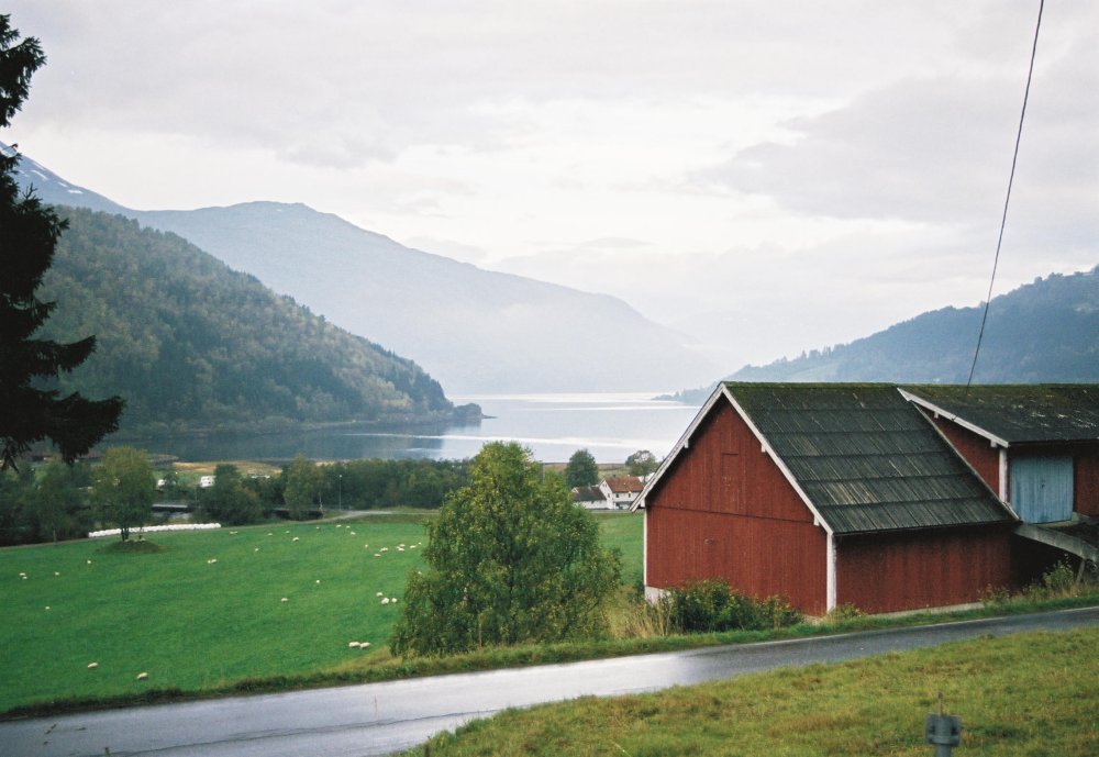 Finner ikke
