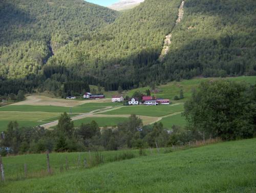 Finner ikke