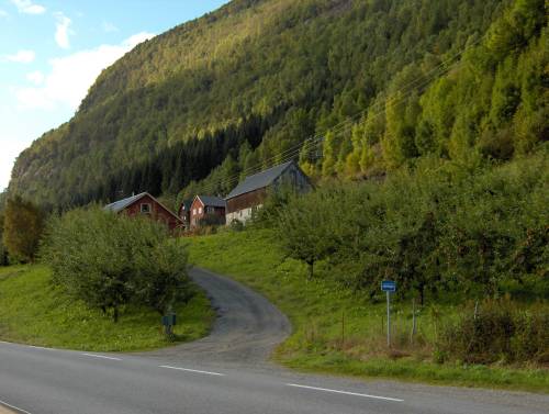 Finner ikke