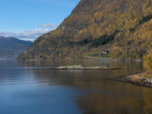 Finner ikke